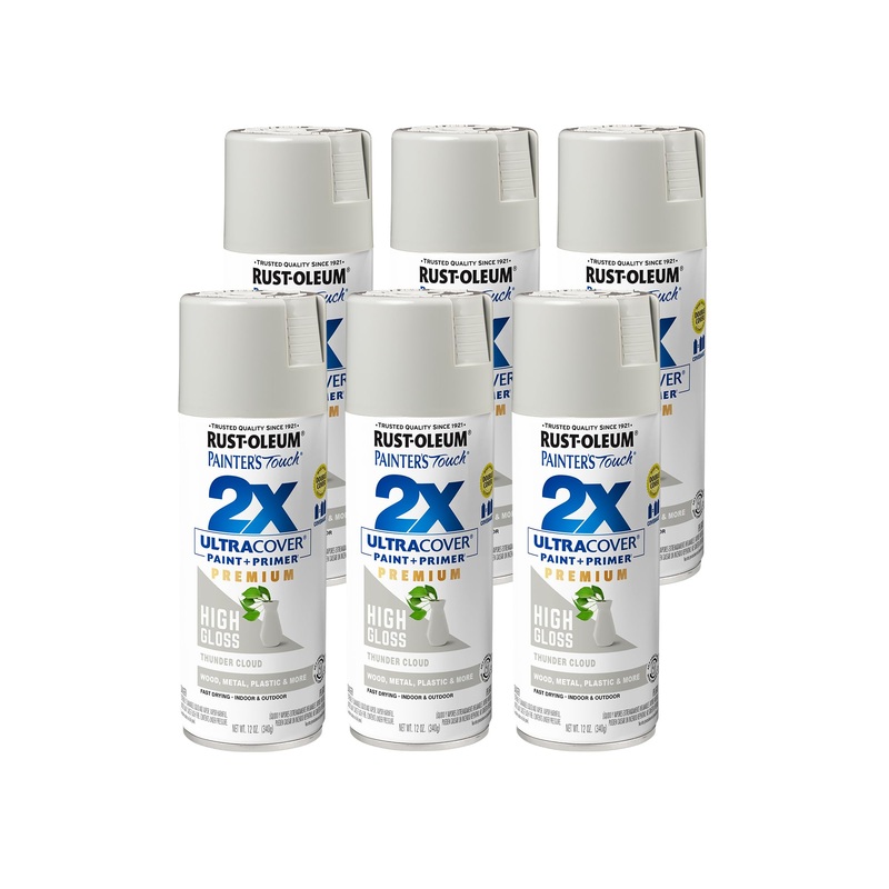 Rust-Oleum 355060 Painter’s Touch 2X Ultra Cover Spray Paint, 12 oz, High Gloss Thunder Cloud (Pack of 6)