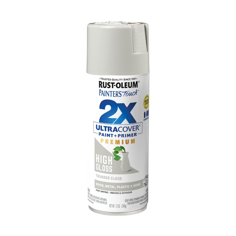 Rust-Oleum 355060 Painter’s Touch 2X Ultra Cover Spray Paint, 12 oz, High Gloss Thunder Cloud (Pack of 1)