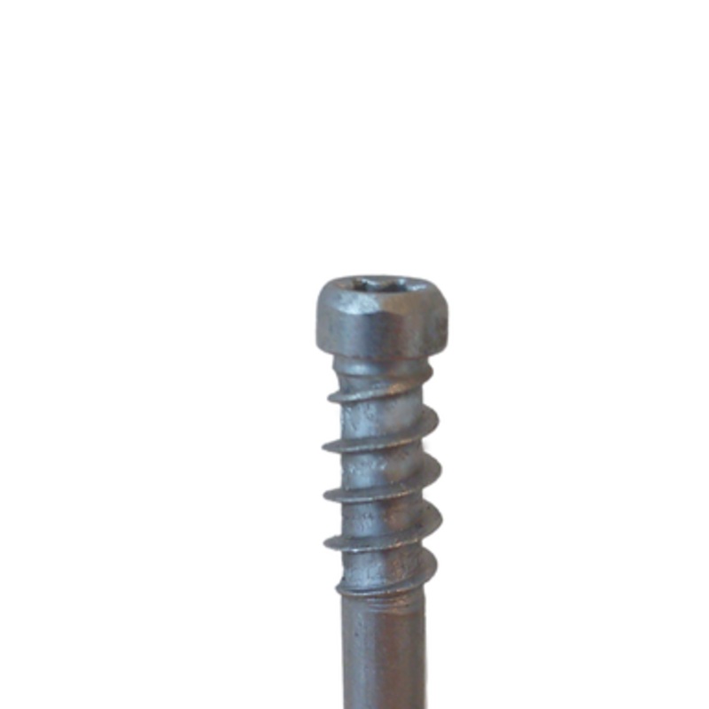 SPAX Screws | 8mm T25 Cylindrical Head Boardwalk Screws with Secondary Thread in A4 316 Stainless Steel
