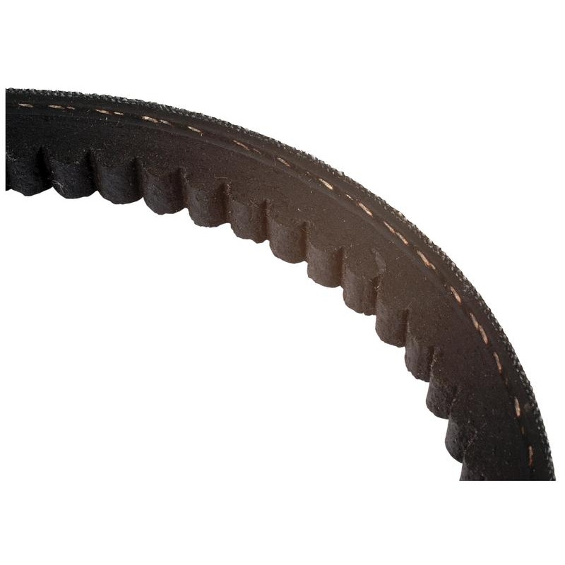 Raw Edge Moulded Cogged Belt – AVX Section – Belt No. AVX10x1195 – Sparex Part No. S.149073