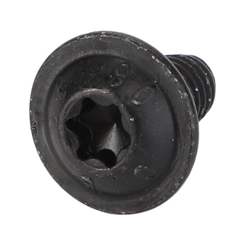 AGCO | Torx Head Screw – Acw5571990