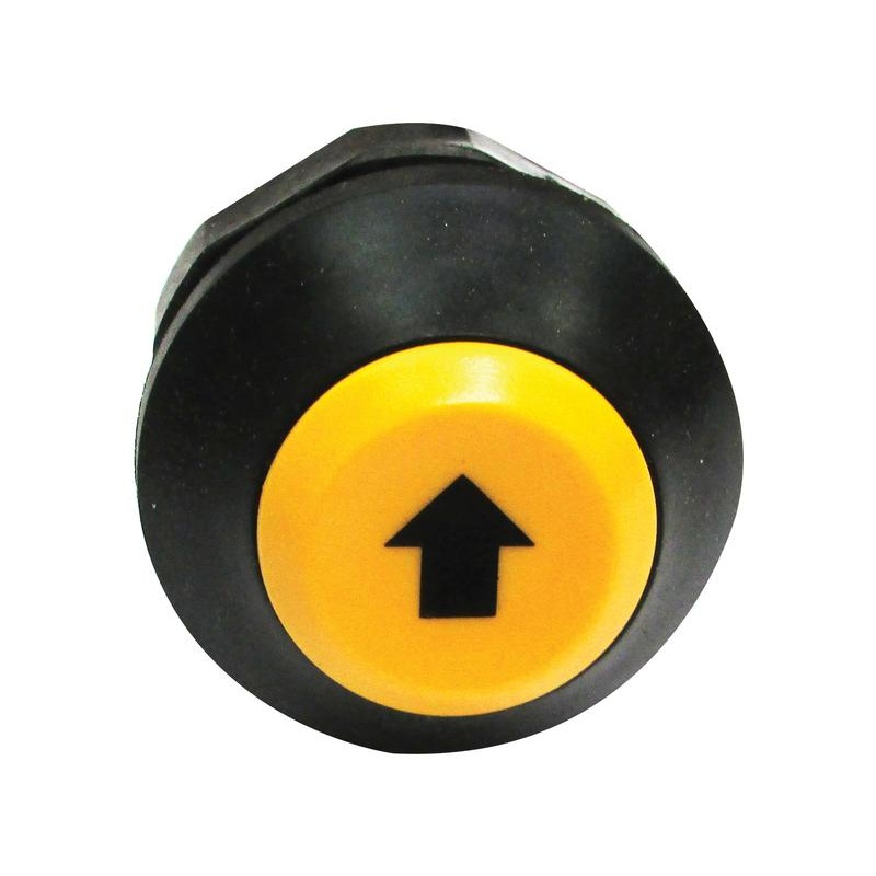 Lift and Lower Switch – Sparex Part No. S.165446