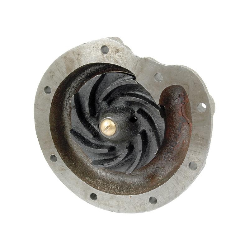 Water Pump Assembly – Sparex Part No. S.63070