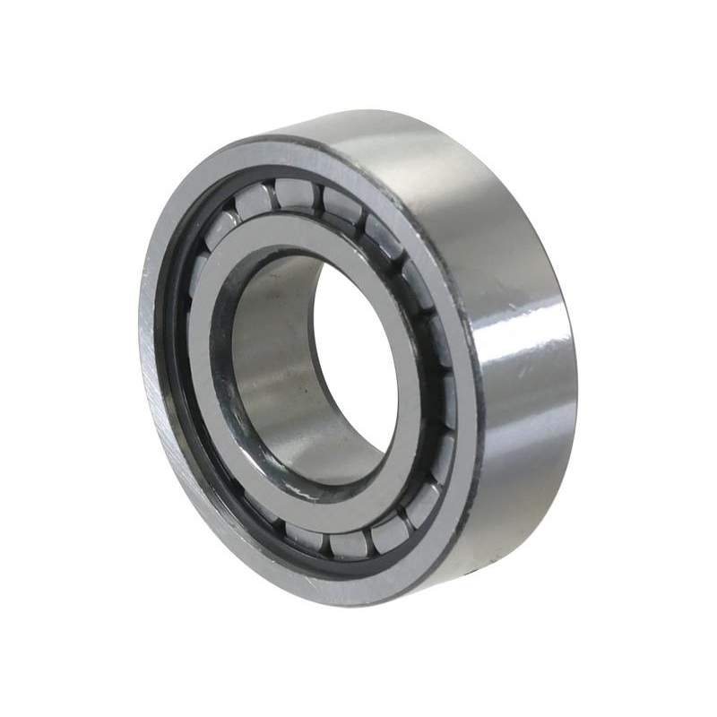 Sparex Cylindrical Roller Bearing (F-52077) – Sparex Part No. S.65424