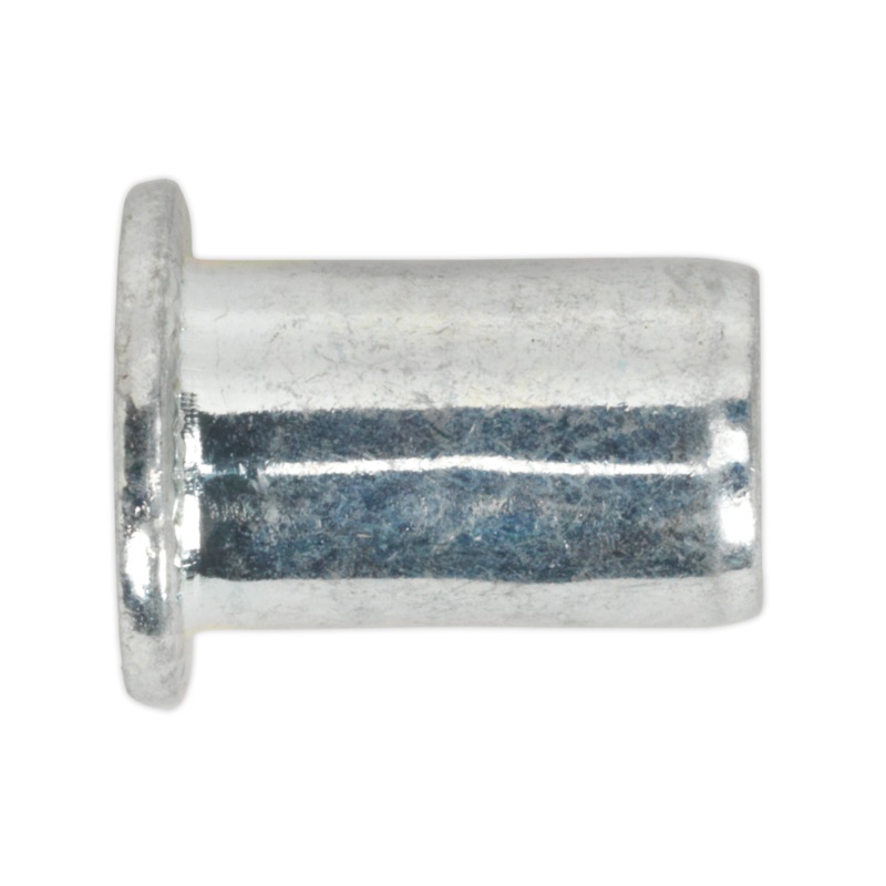 Threaded Insert (Rivet Nut) M6 Regular Pack of 50 – TIRM6