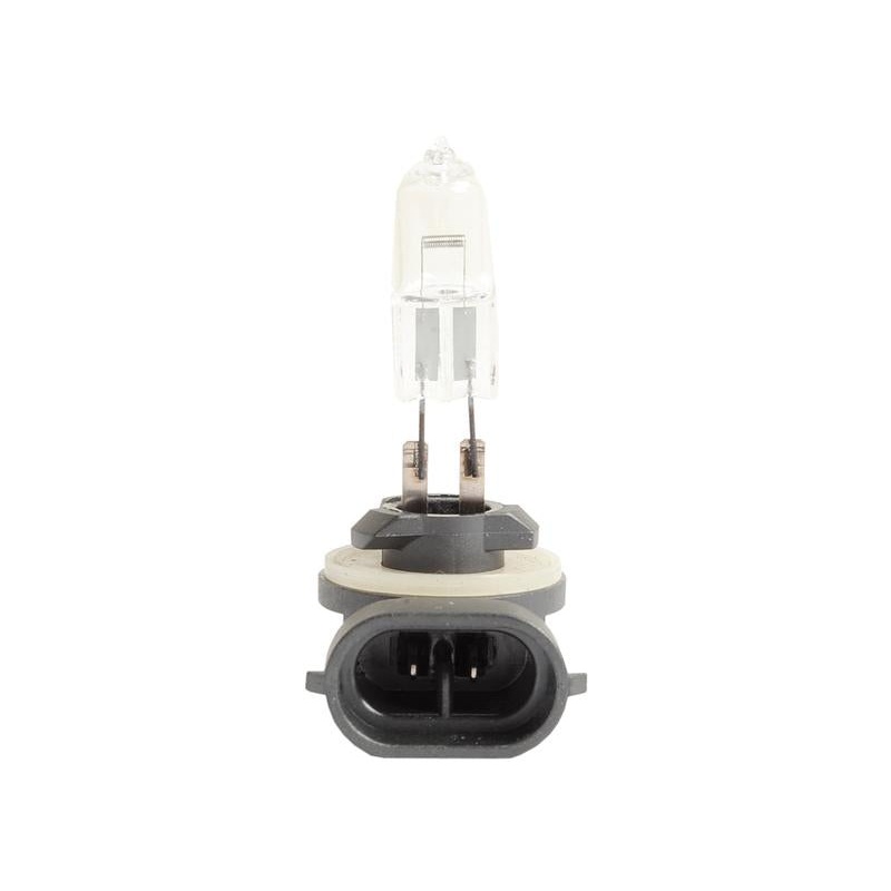 Light Bulb (Halogen) 12V, 50W, PGJ13 (Box 1 pc.) – Sparex Part No. S.20535