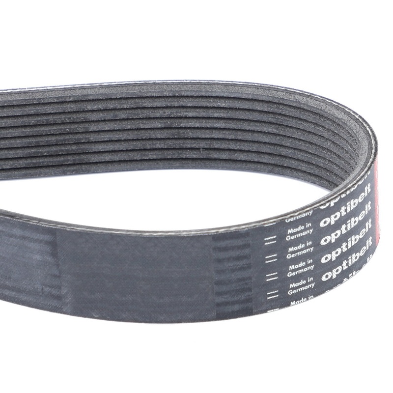 AGCO | Serpentine Belt, Pk8 Profile – V685081730