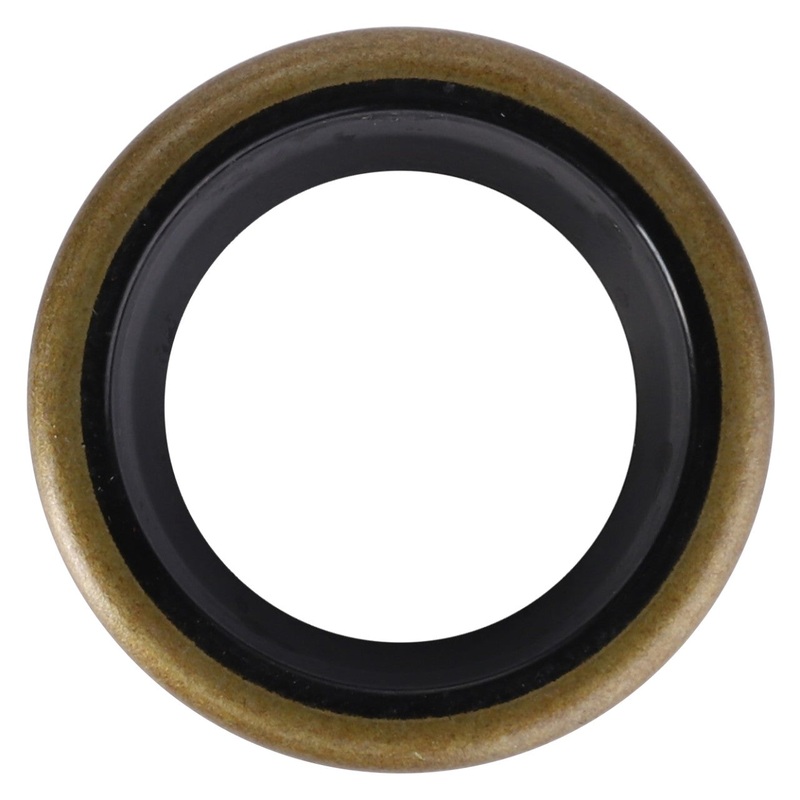 AGCO | Seal, Steering Cylinder – 1749616M1