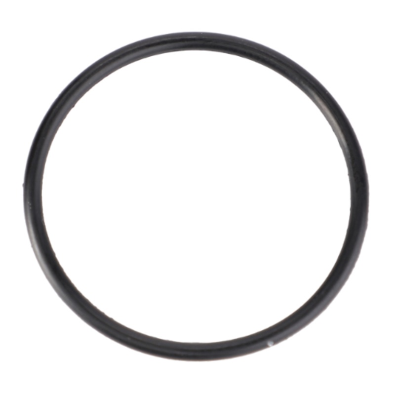Massey Ferguson – O Ring – 70923989