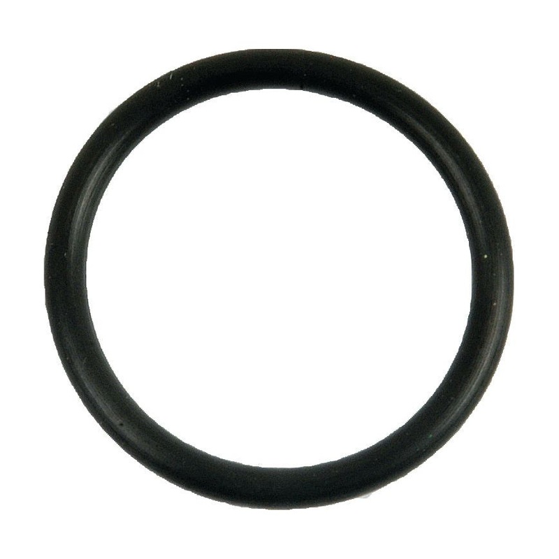 Filter Gasket – Oil | Sparex Part No.S.64691