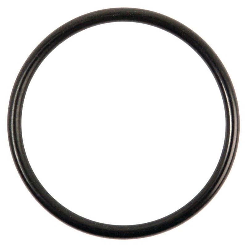 *SPECIAL PRICE* – O Ring – S.8971