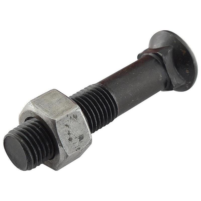 *SPECIAL PRICE* – Round Countersunk Square Hex Bolt & Nut (TFCC) – 7/16” x 55mm, Tensile strength 8.8 (25 pcs. Box) – Sparex Part No. S.27464