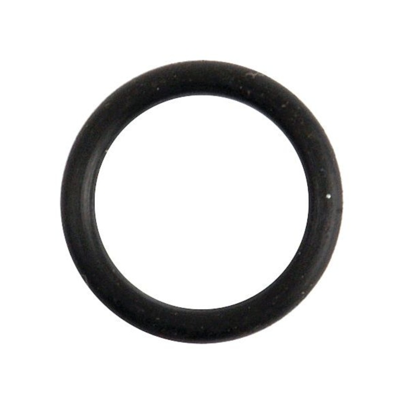 O Ring – S.8965