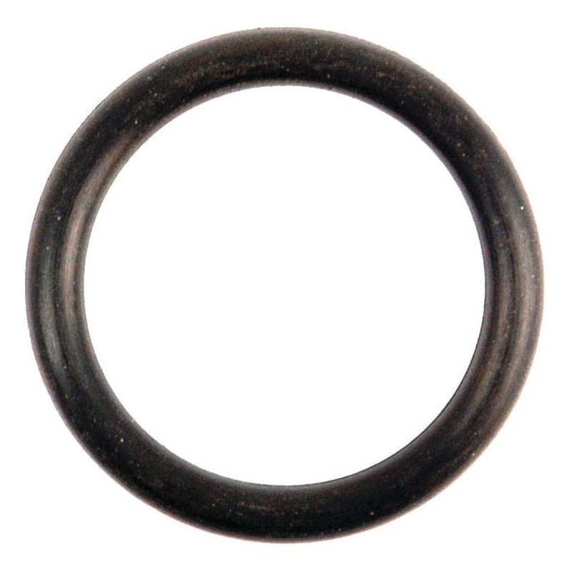 O Ring – S.8974