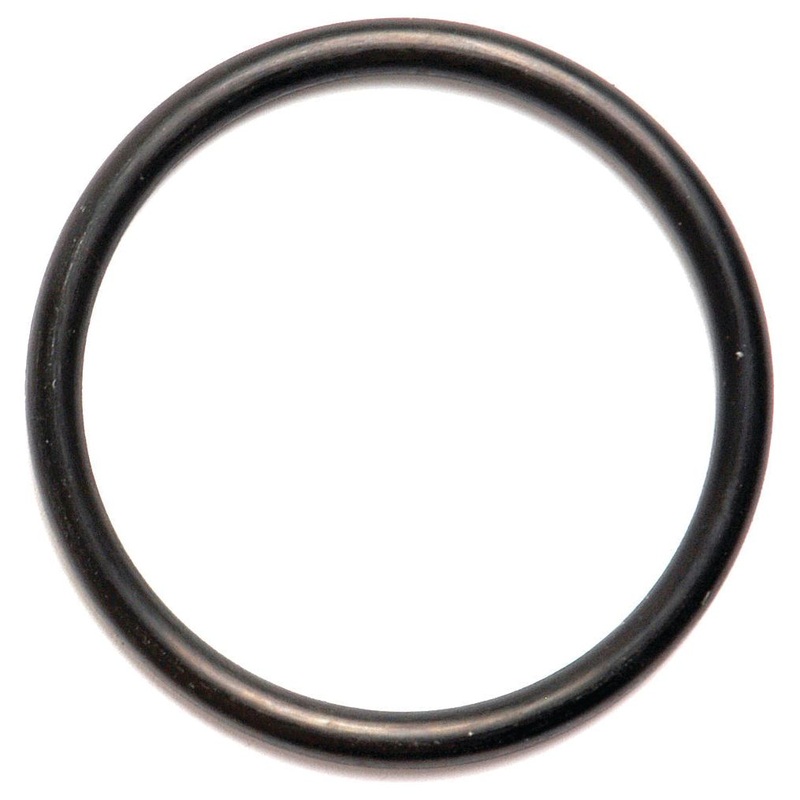 O Ring – S.8978