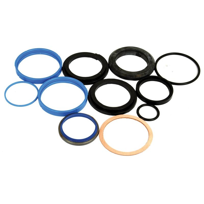 Seal Kit  (Support Cylinder Ram) – Sparex Part No. S.57976