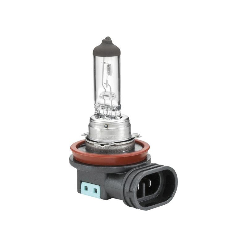 Light Bulb (Halogen) H11, 12V, 55W, PGJ19-2 (Box 1 pc.) – Sparex Part No. S.170501