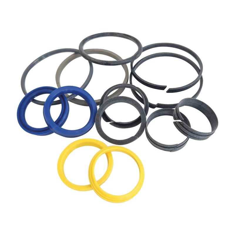 Steering Cylinder Repair Kit – Sparex Part No. S.167635