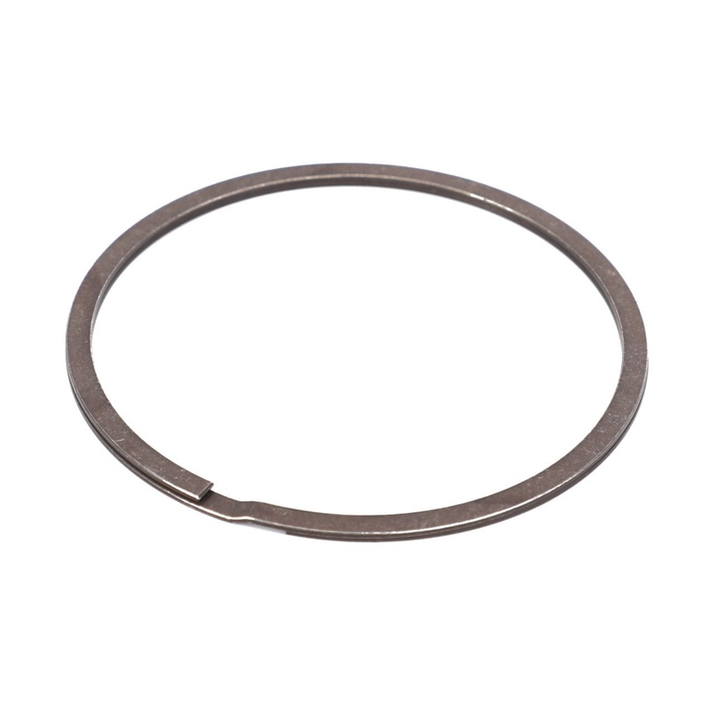 AGCO | Lamellar Ring – F934201100020