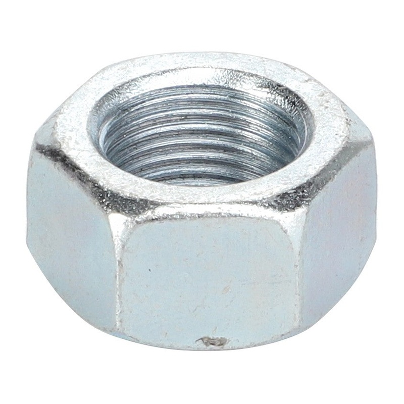 AGCO | Nut – F524700010010