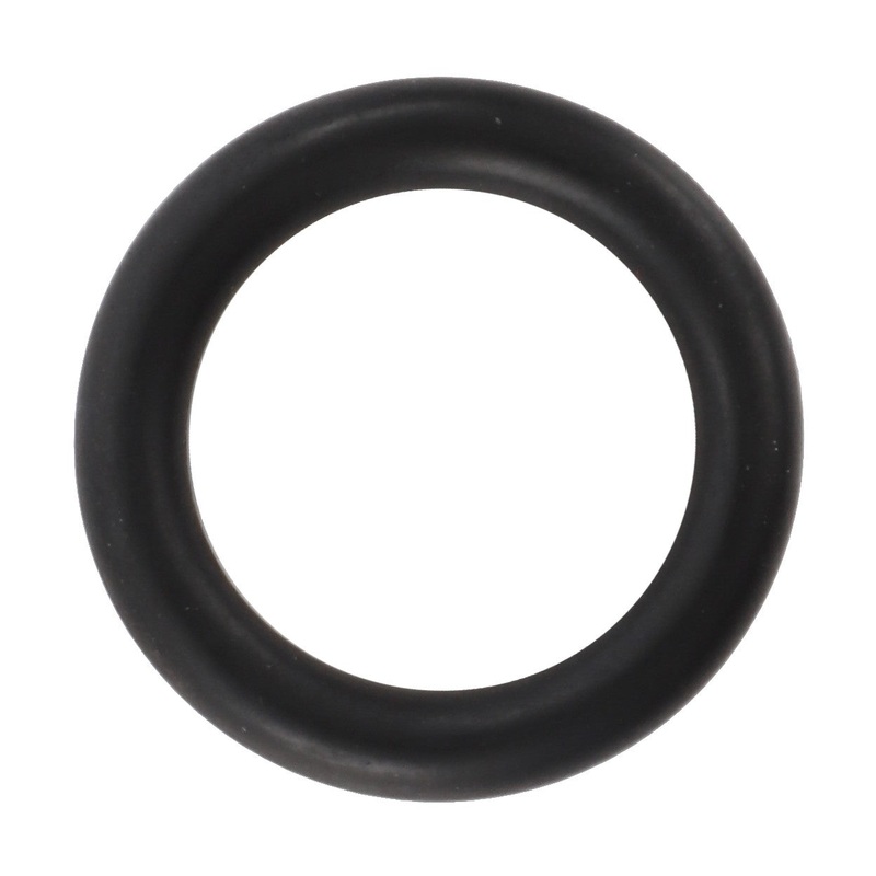 AGCO | O-Ring – F743300020390
