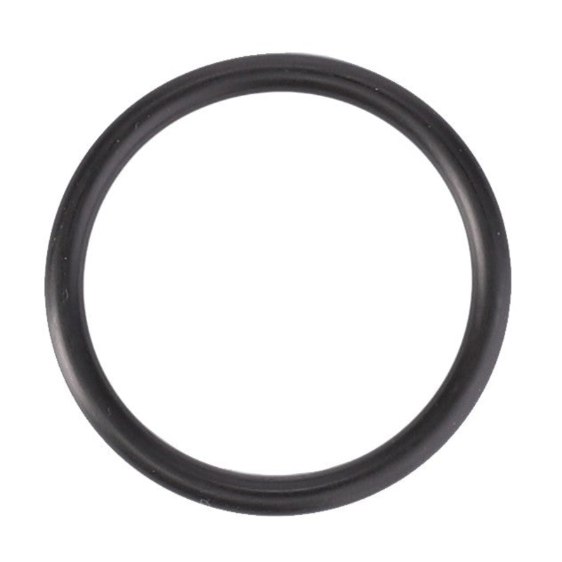 AGCO | Seal – F002200510060