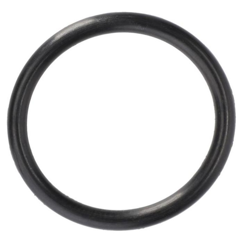 Massey Ferguson – O-RING – 70924775