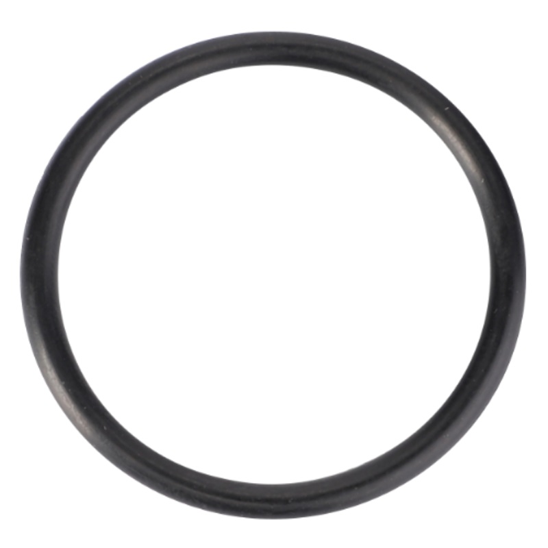 Massey Ferguson – O Ring – 70923568