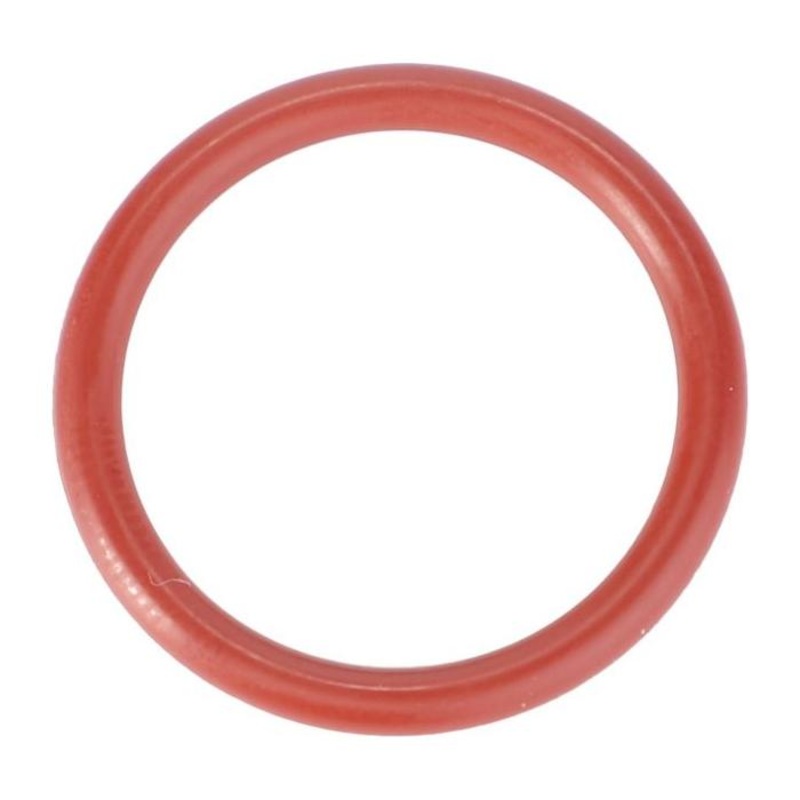 Fendt – O Ring – F916961022100