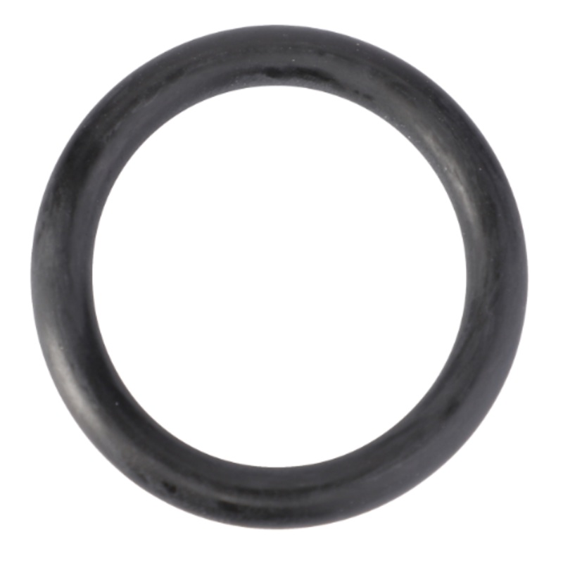 Fendt – O Ring – X548887266000