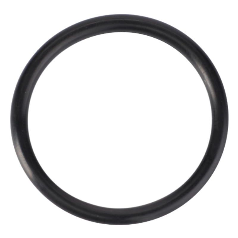 Massey Ferguson – O Ring – 70923813