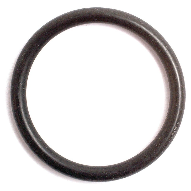 O Ring – S.8968