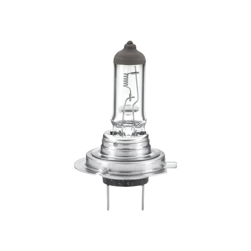 Light Bulb (Halogen) H7, 24V, 70W, PX26d (Box 1 pc.) – Sparex Part No. S.165695