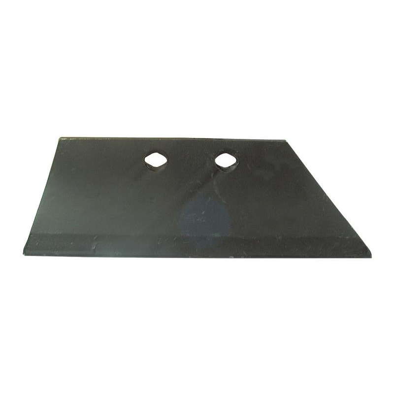 Reversible Skim Point – RH & LH (Kuhn) To fit as: 631112 – Sparex Part No. S.162797