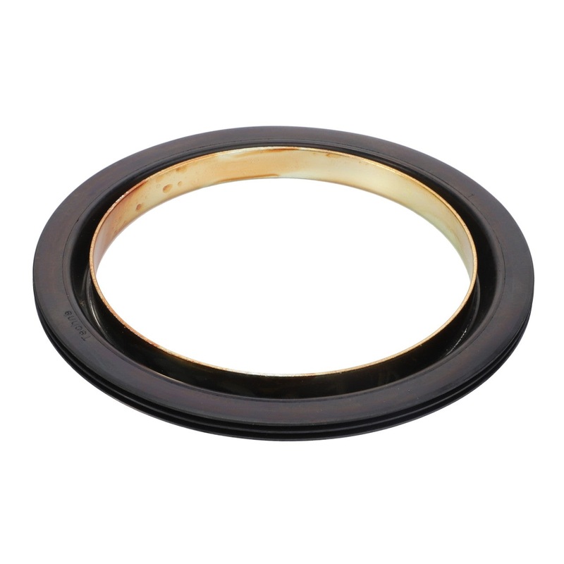 AGCO Seal 4307366M1 | OEM Oil Seal for MF & Valtra Axles & Transmissions